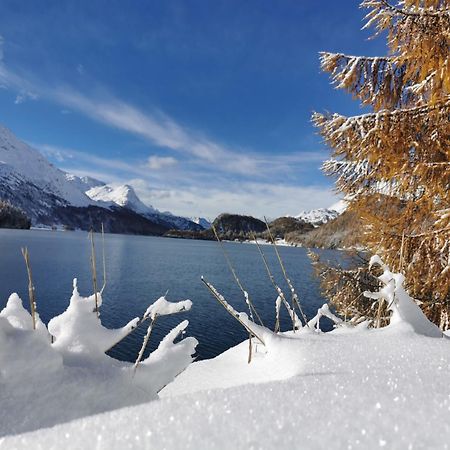 Ferienwohnung Pontresina - Chesa Andrea - Gartensitzplatz Buitenkant foto