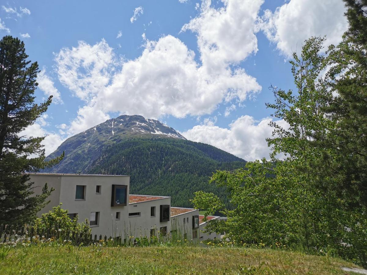 Ferienwohnung Pontresina - Chesa Andrea - Gartensitzplatz Buitenkant foto