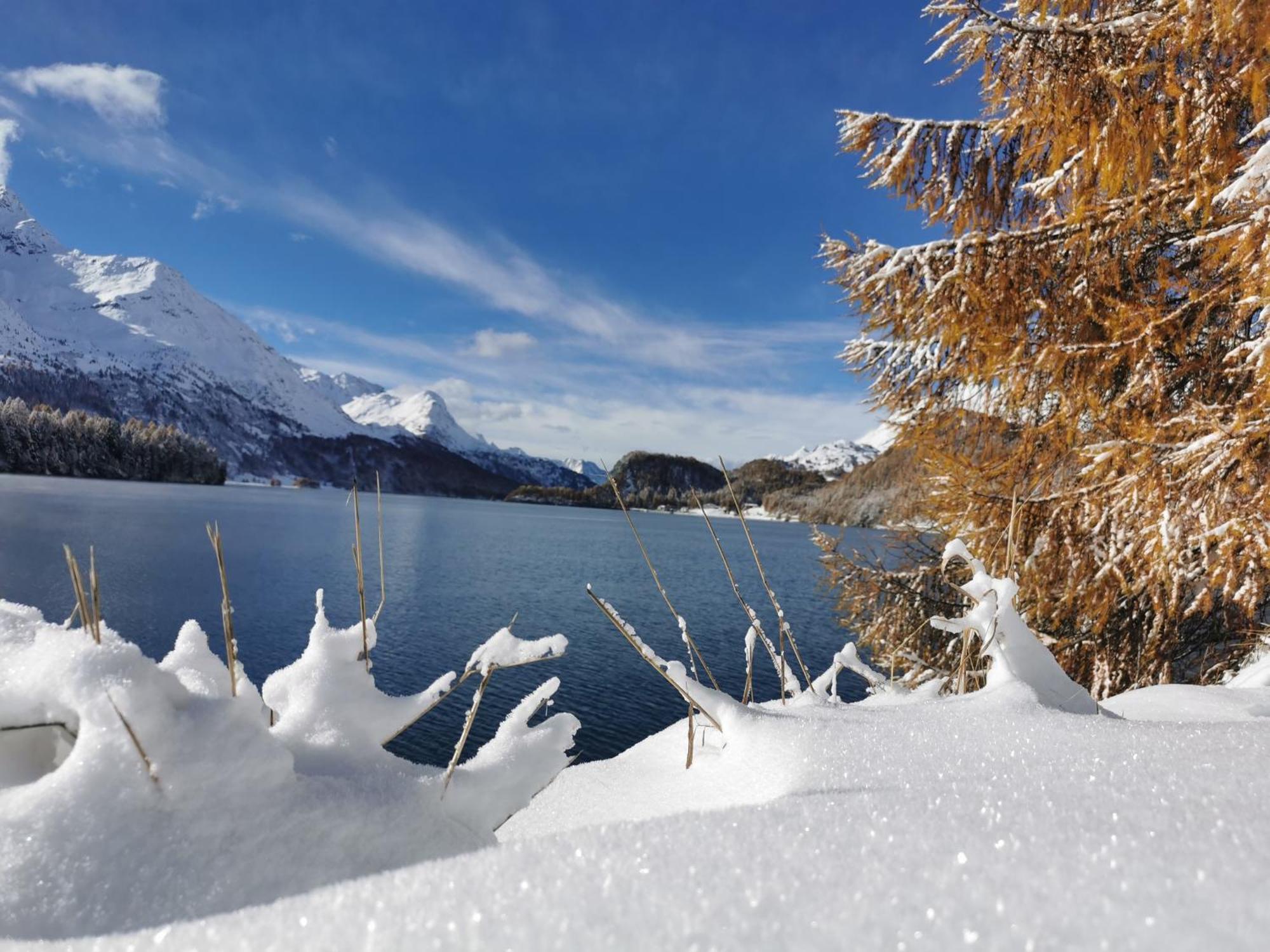 Ferienwohnung Pontresina - Chesa Andrea - Gartensitzplatz Buitenkant foto